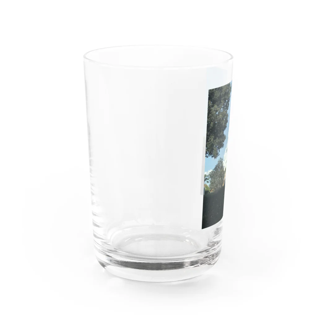 dote's shopのこちらを見ている Water Glass :left