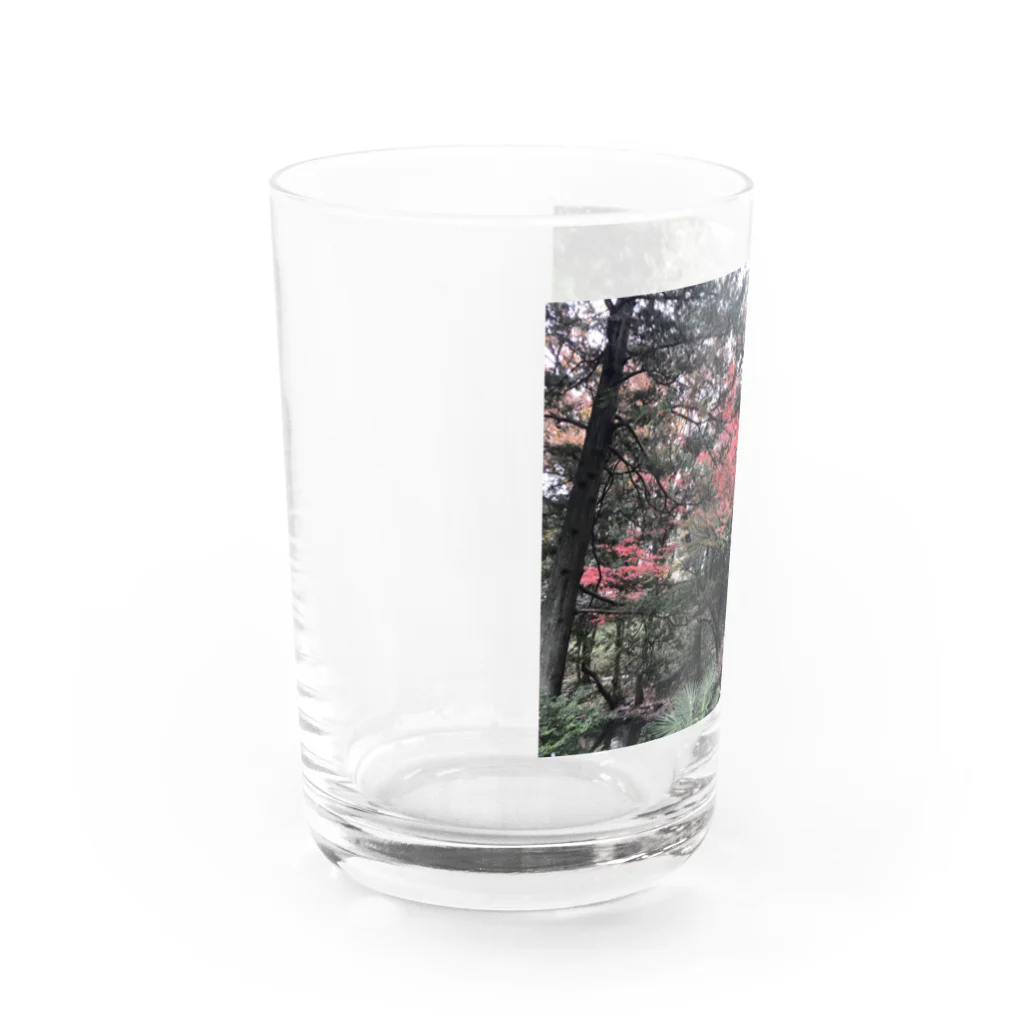 YDTの紅葉気分 Water Glass :left