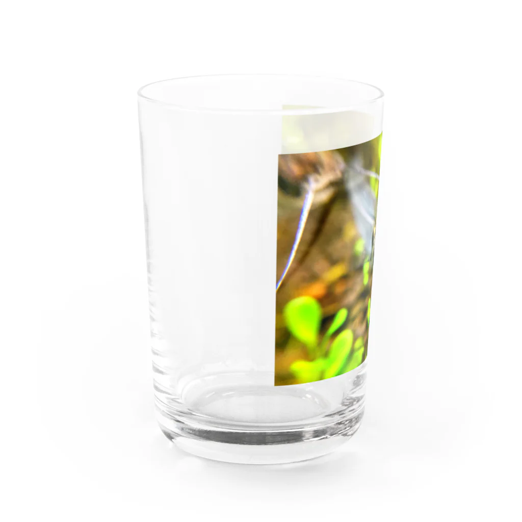 タナツキ商会の迫りくる！ お魚くん！ Water Glass :left