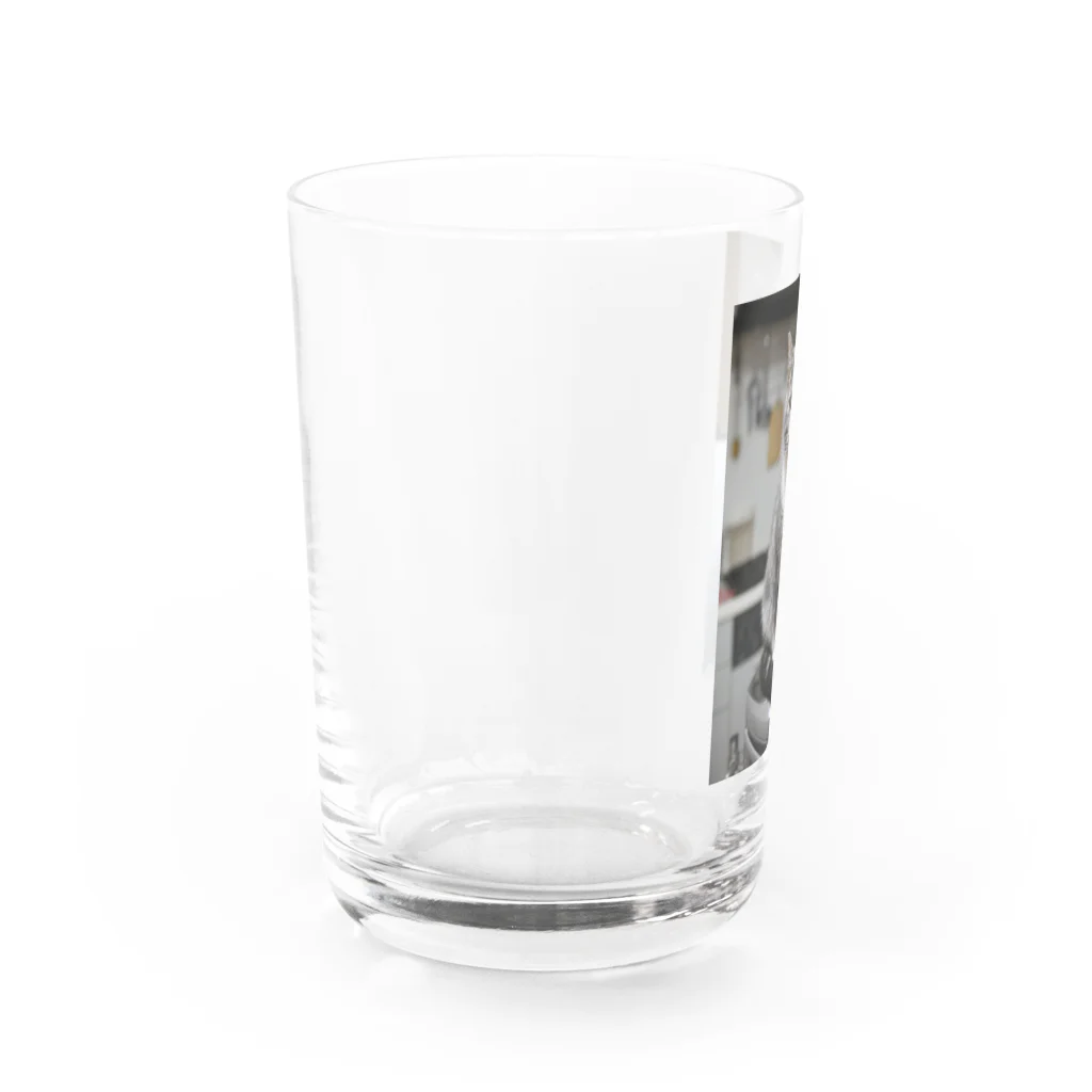 Aiko Nakanoの炊飯器に乗って何が悪いの？ Water Glass :left