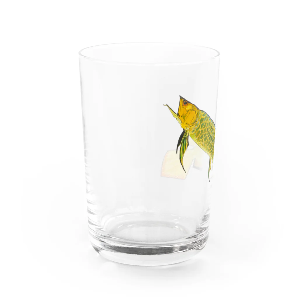 Coshi-Mild-Wildのゴールデンアジアアロワナ Water Glass :left