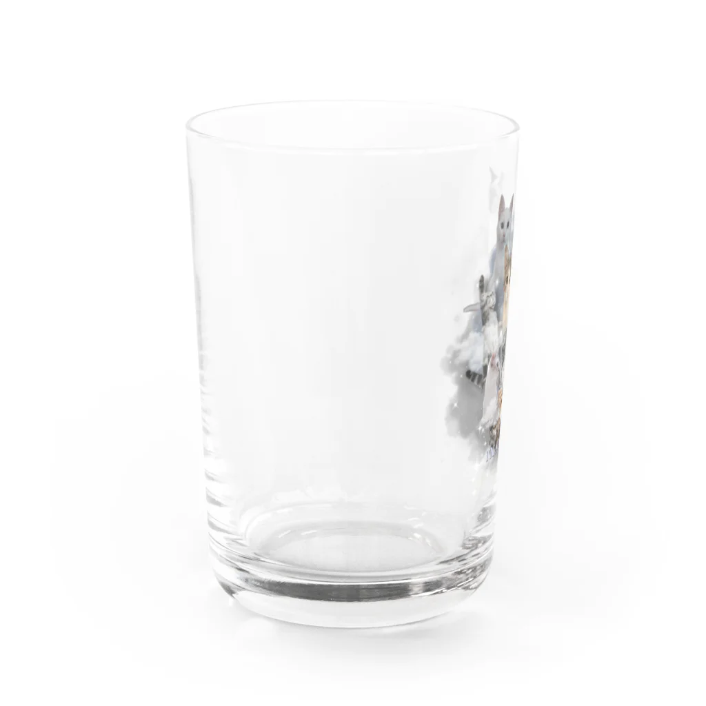 ねこスタジオの飼い猫とみんな Water Glass :left