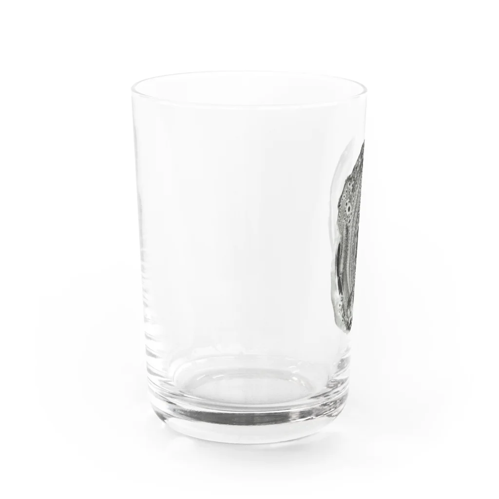 momenkoTWの魂ワープ Water Glass :left