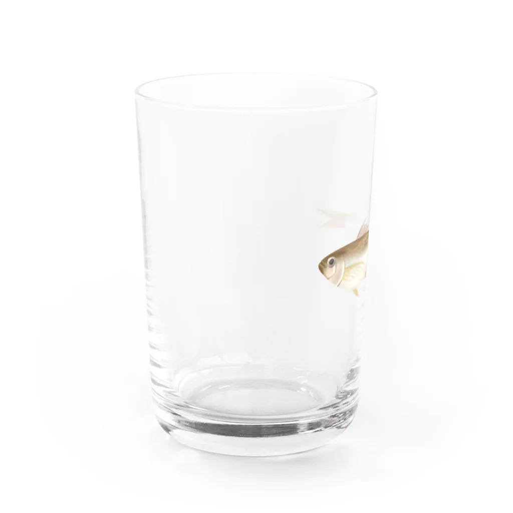 いくら丼のハタハタ Water Glass :left