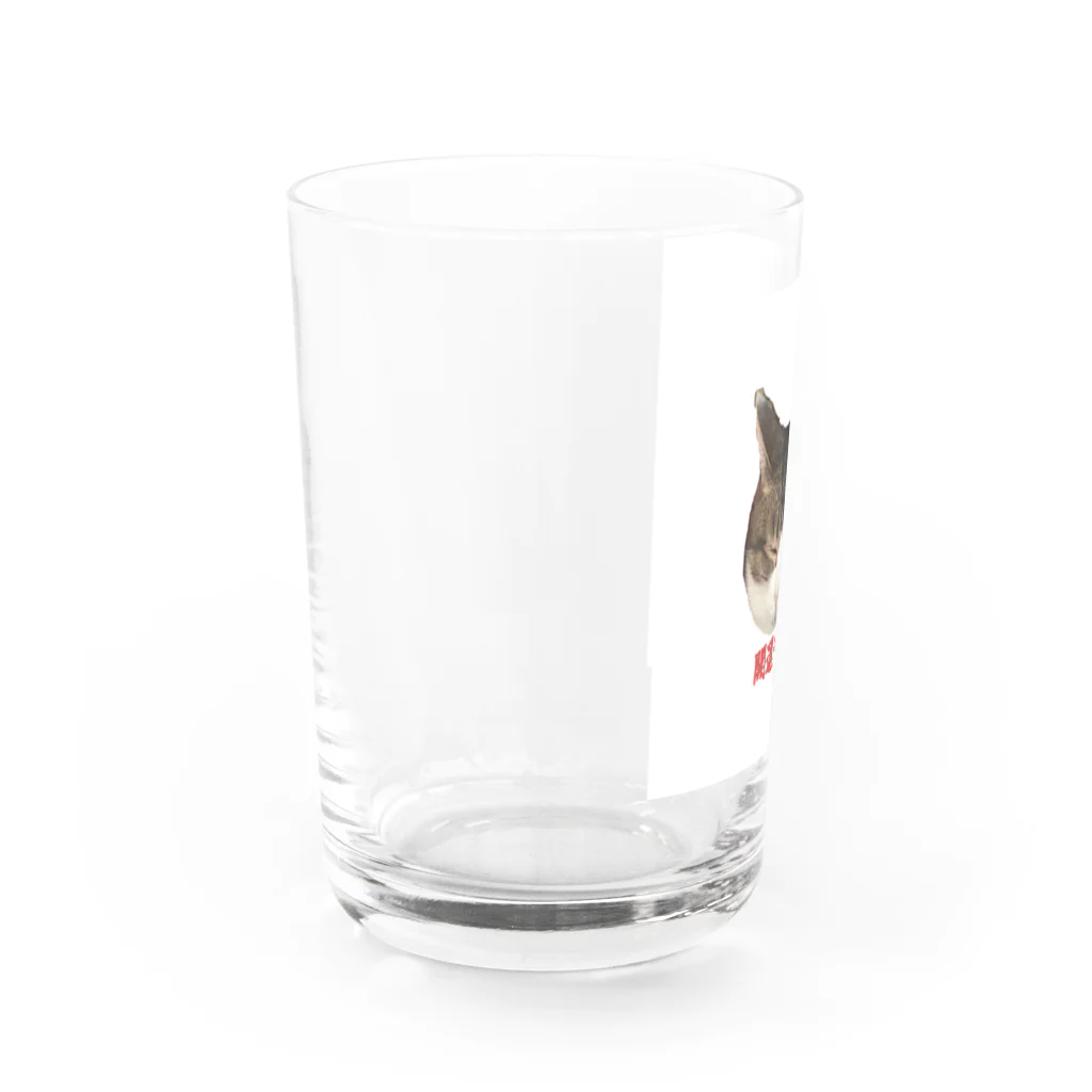 カンちゃんグッズショップのオッサン猫グッズ Water Glass :left
