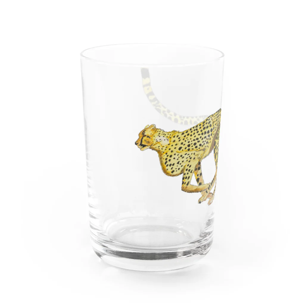 Coshi-Mild-Wildのチーター Water Glass :left