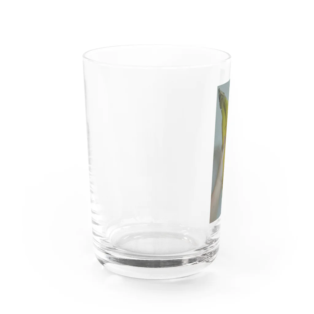 Japanese_Bee8の大きなバナナ🍌 Water Glass :left