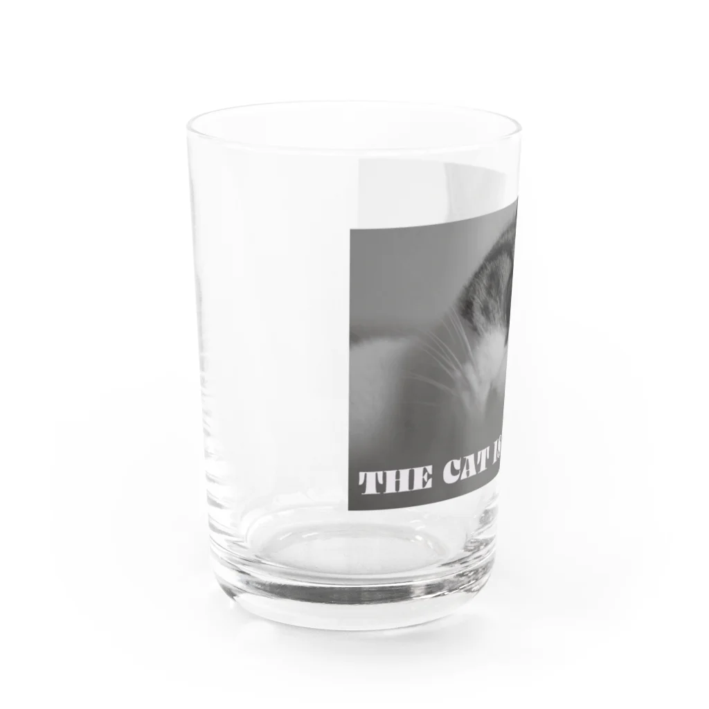 Lovely CATの猫 Water Glass :left
