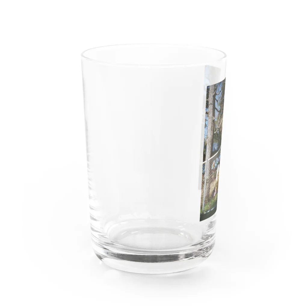 かわかみはるなのショップのとある日の正午 Water Glass :left