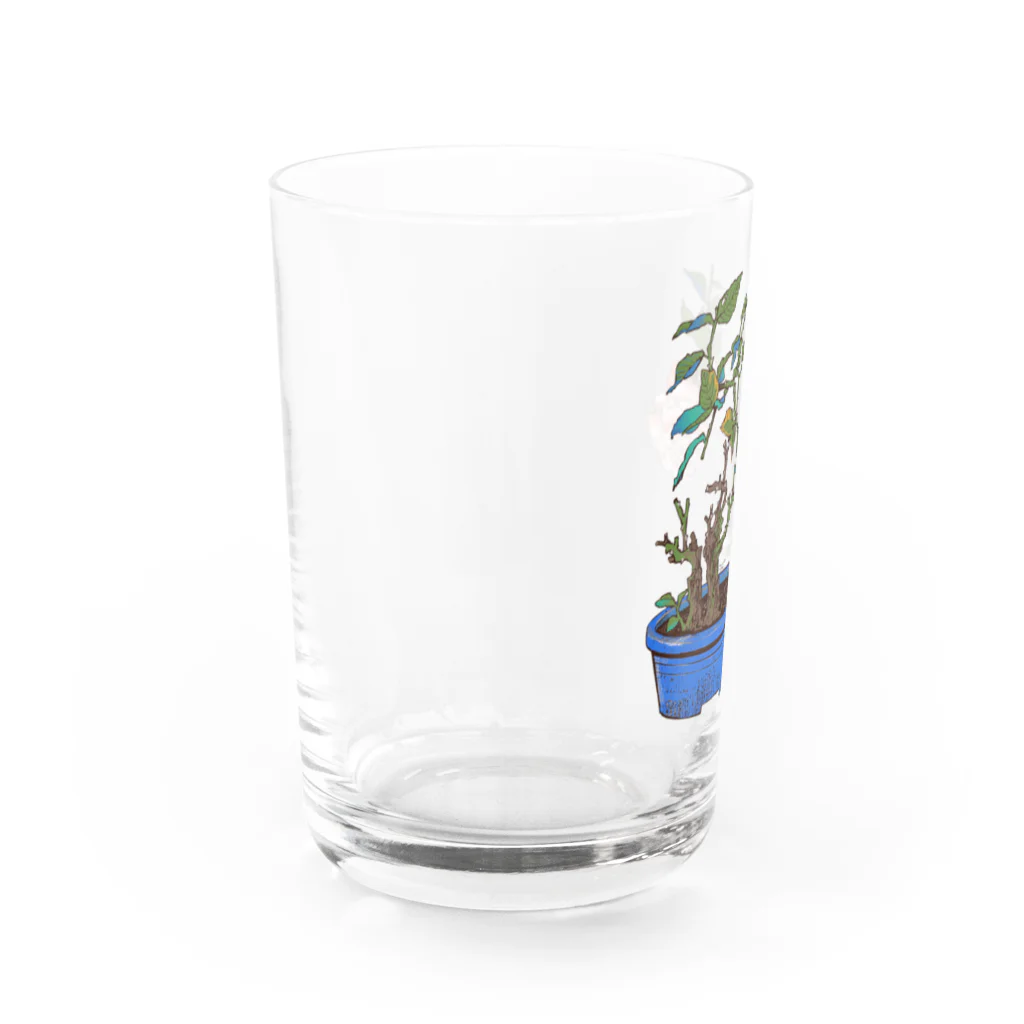 tomidoronの白バラ Water Glass :left