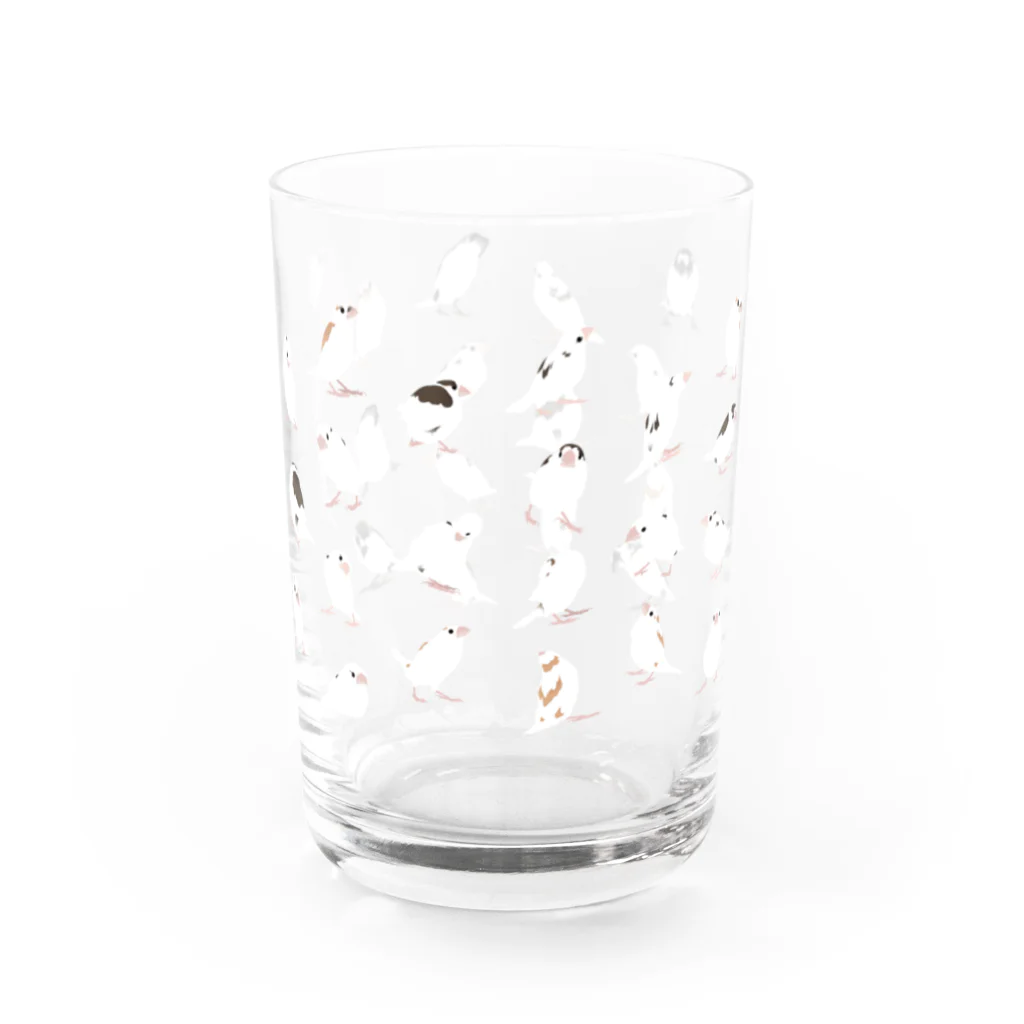 十姉妹な店のじゅうしまつ Water Glass :left