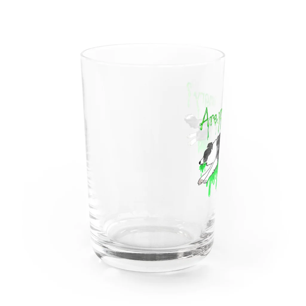 ボーダーコリー景虎のボーダーコリー景虎グッズ Water Glass :left