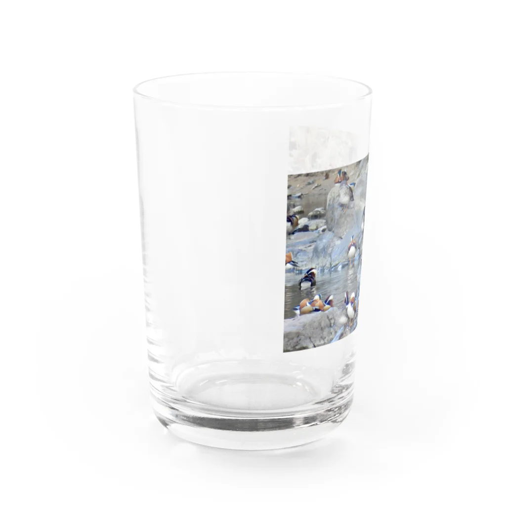 カワセミLOVEのオシドリの岩盤浴 Water Glass :left