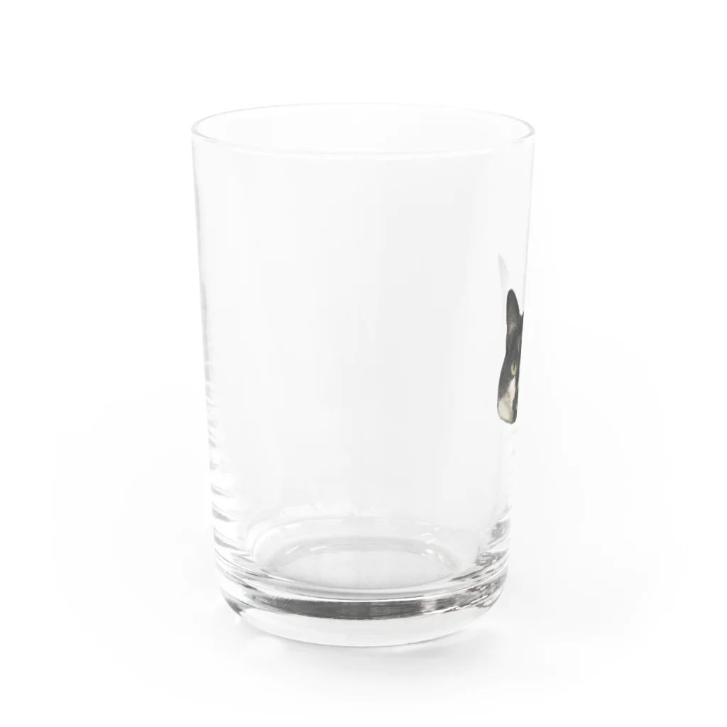 happiness_maiのしかめ面の小豆 Water Glass :left