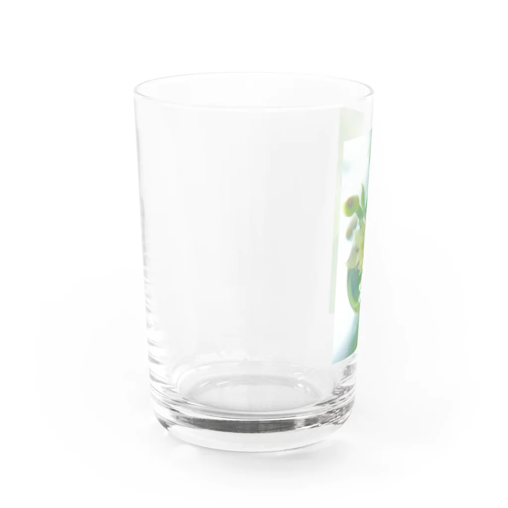 望美【写真】のしずくとアカネ Water Glass :left