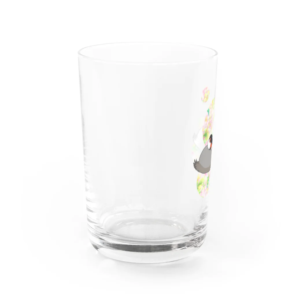 Lily bird（リリーバード）のとろける文鳥ず Water Glass :left