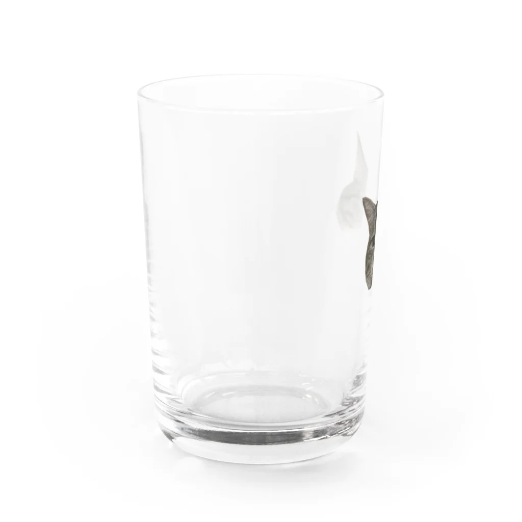 ジャパニャンライフのキジ白ミィの顔ドアップグラス Water Glass :left