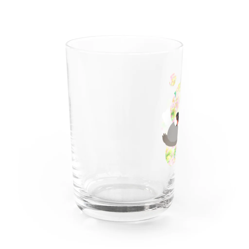 Lily bird（リリーバード）のとろける文鳥ず2 Water Glass :left