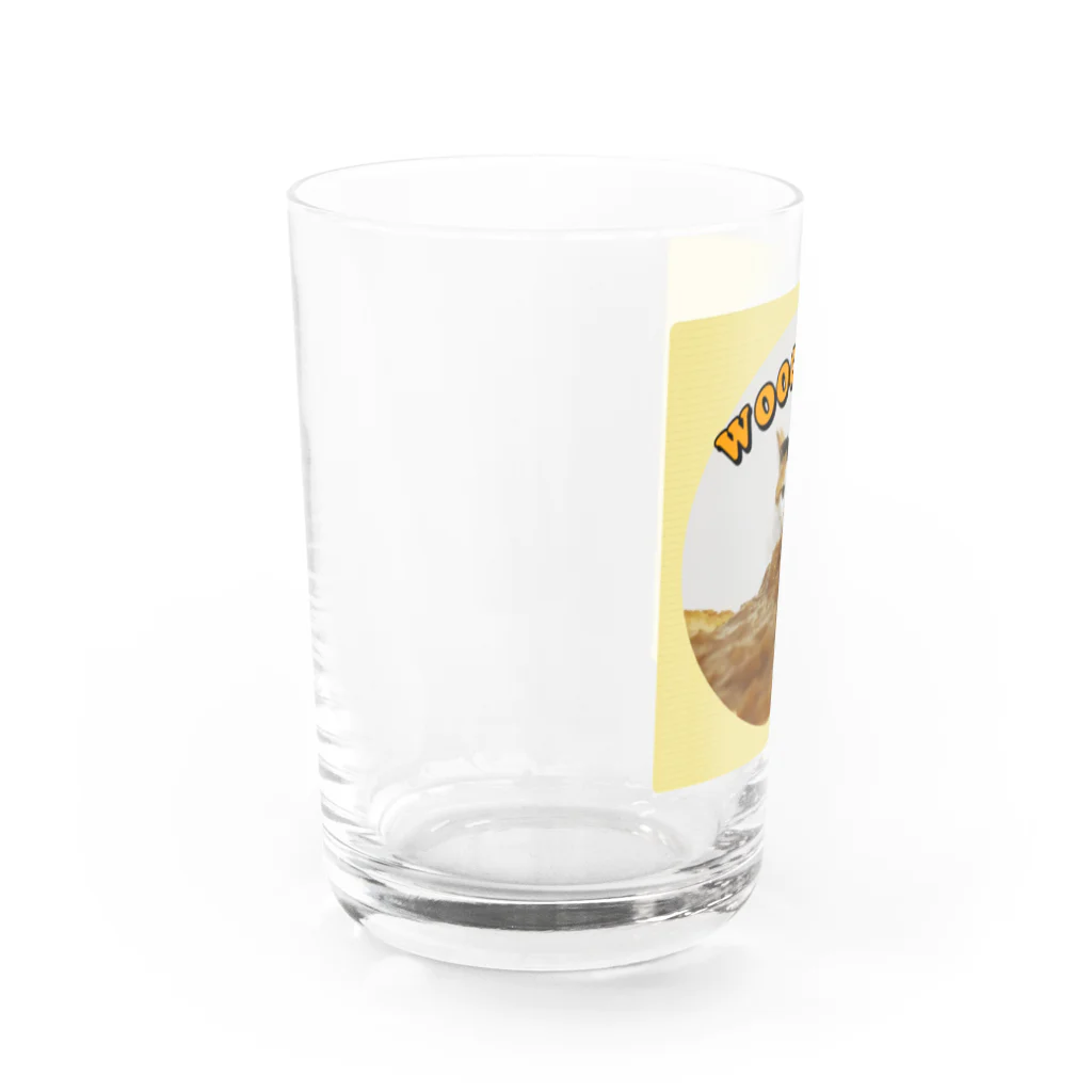 goonychanのカレーの妖精三毛猫うー Water Glass :left