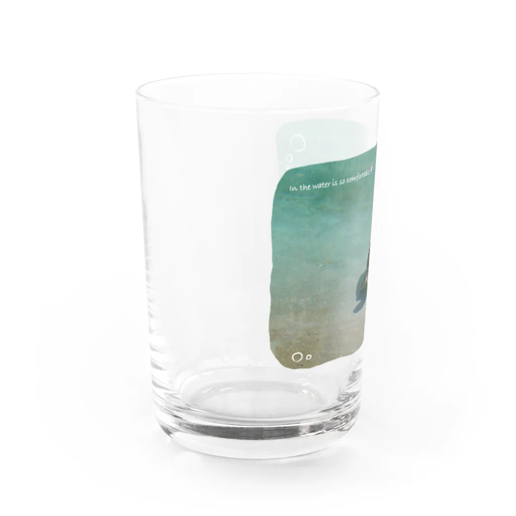 竜の工房・翔 -SUZURI SHOP-のたゆたうウミガメ Water Glass :left