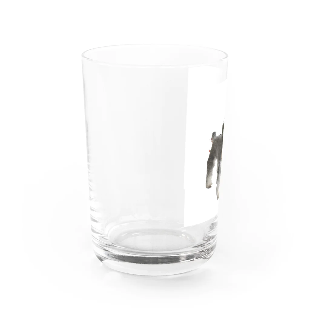 遊のミニチュアシュナウザー Water Glass :left