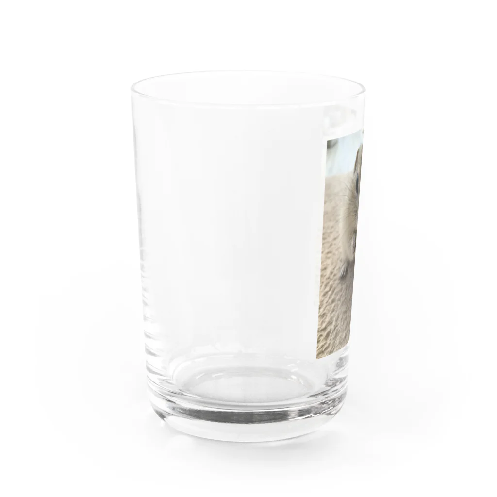 おもちときなこの美しいきなこ様 Water Glass :left