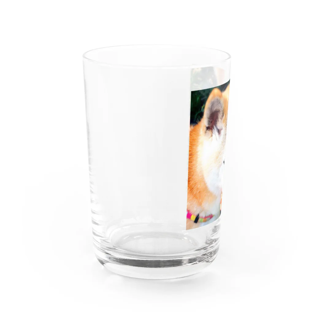 丸みの柴犬とお花 Water Glass :left