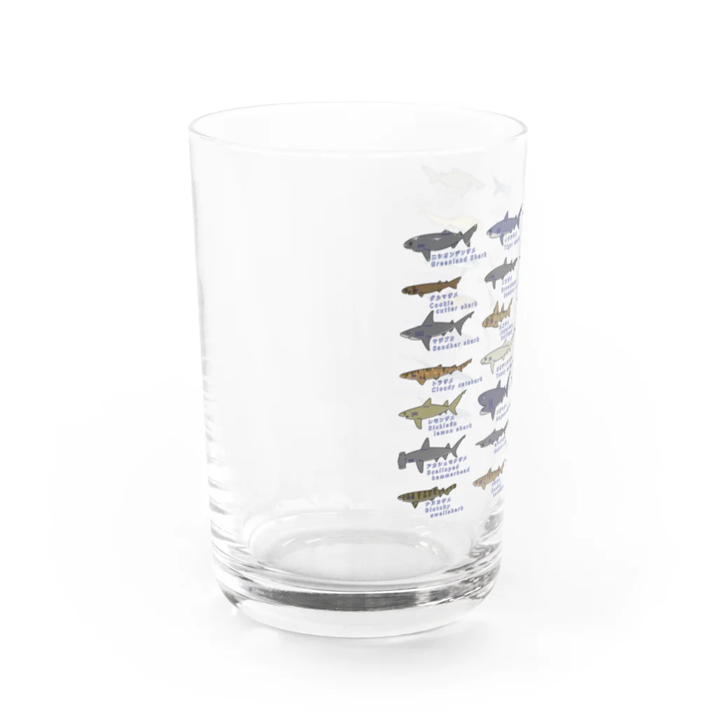 めかぶ商店のサメ図鑑28種 Water Glass :left