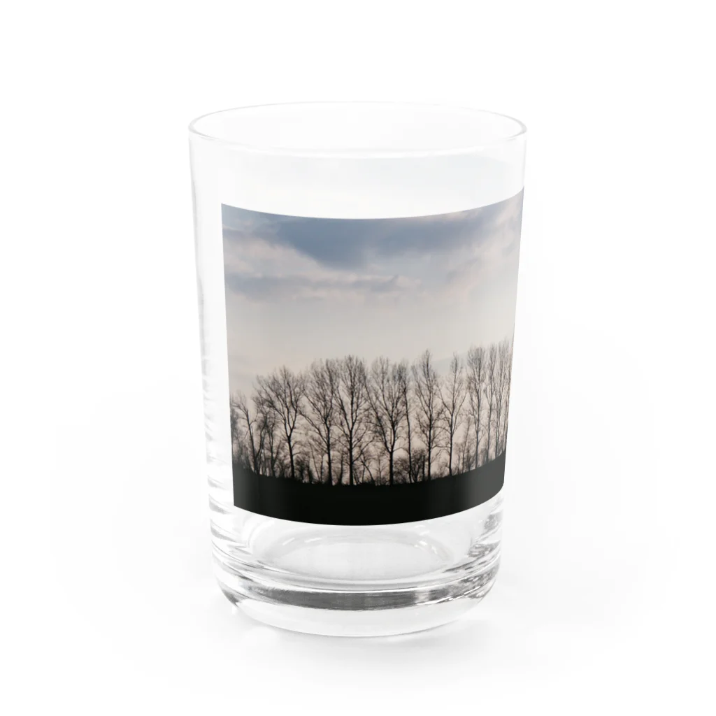 Ende der Weltのアレーな並木 Water Glass :left