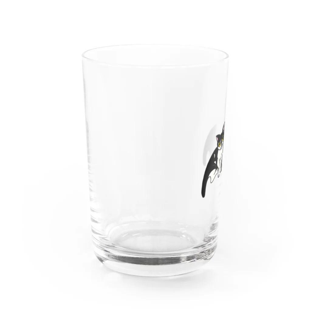 Frei Hyäneの仲良しネコ Water Glass :left