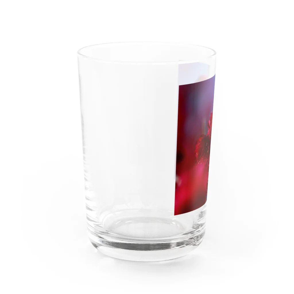 eMu*りおの赤い梅(写真) グラス左面