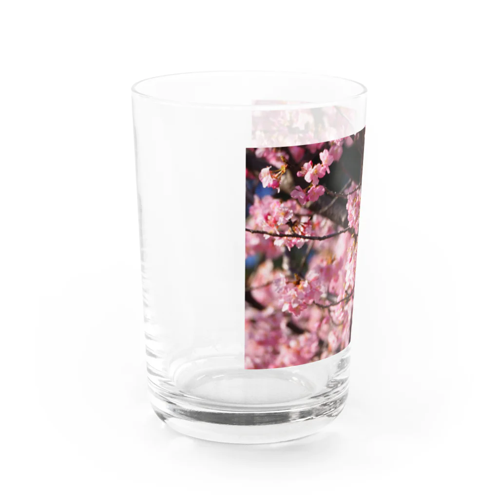 SHOPマニャガハの2021年の桜(№2) Water Glass :left