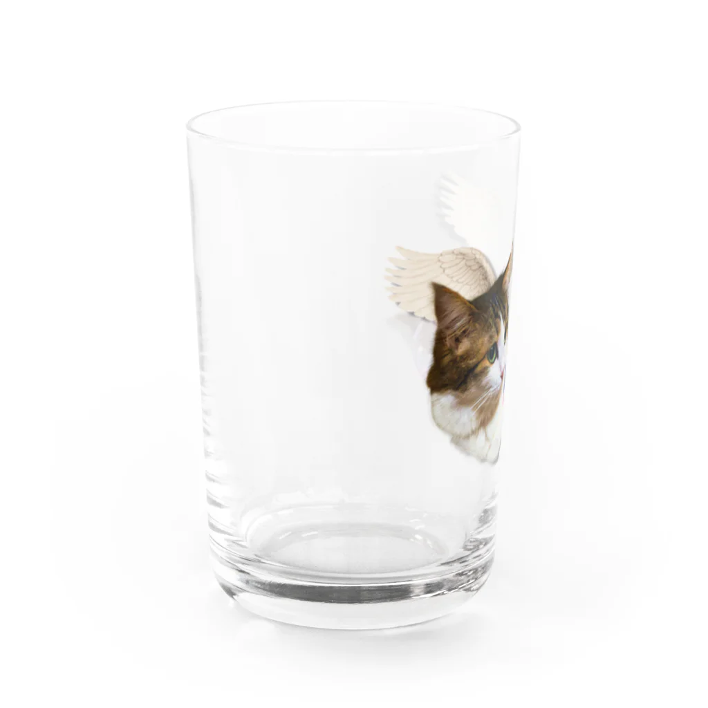 𝙈𝙊𝙈𝙊'𝙨 𝙎𝙝𝙤𝙥のmy angel-4 special filter Water Glass :left