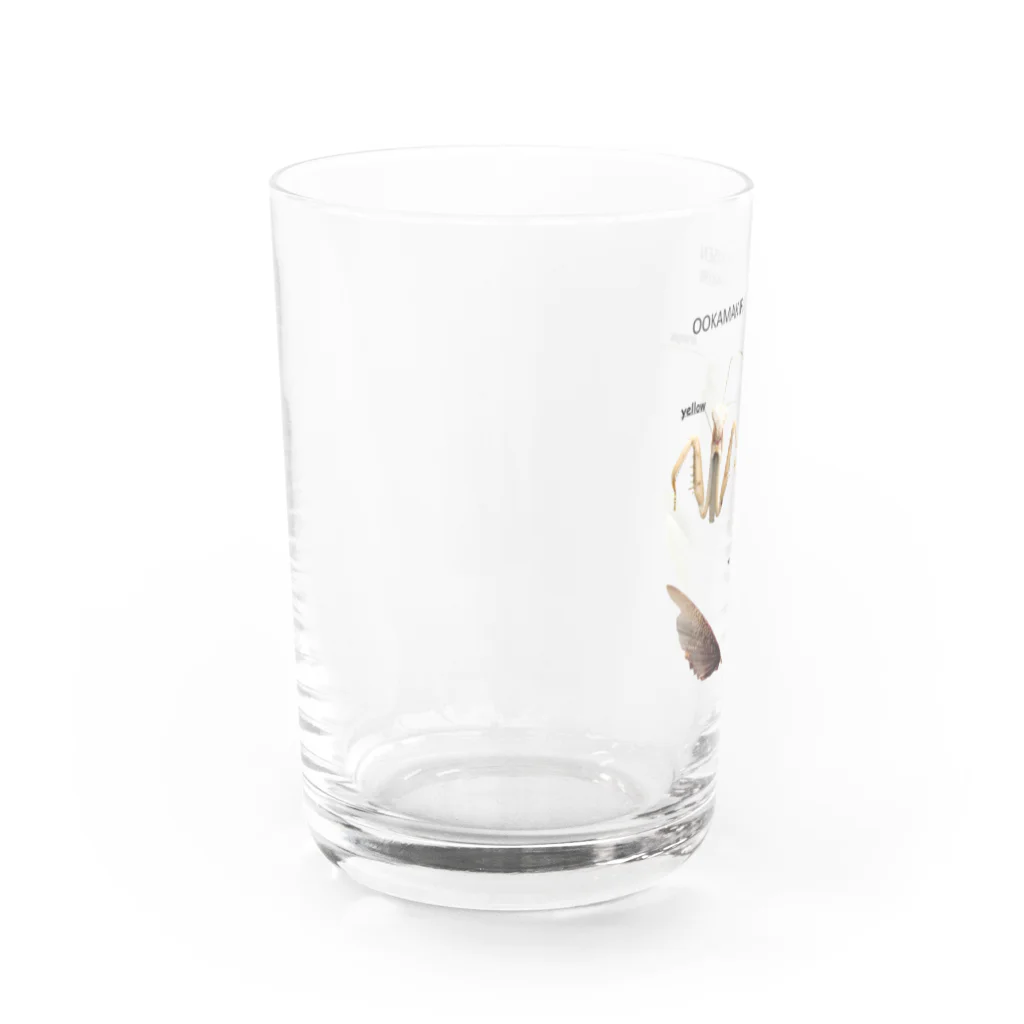 L_arctoaのオオカマキリとチョウセンカマキリ Water Glass :left