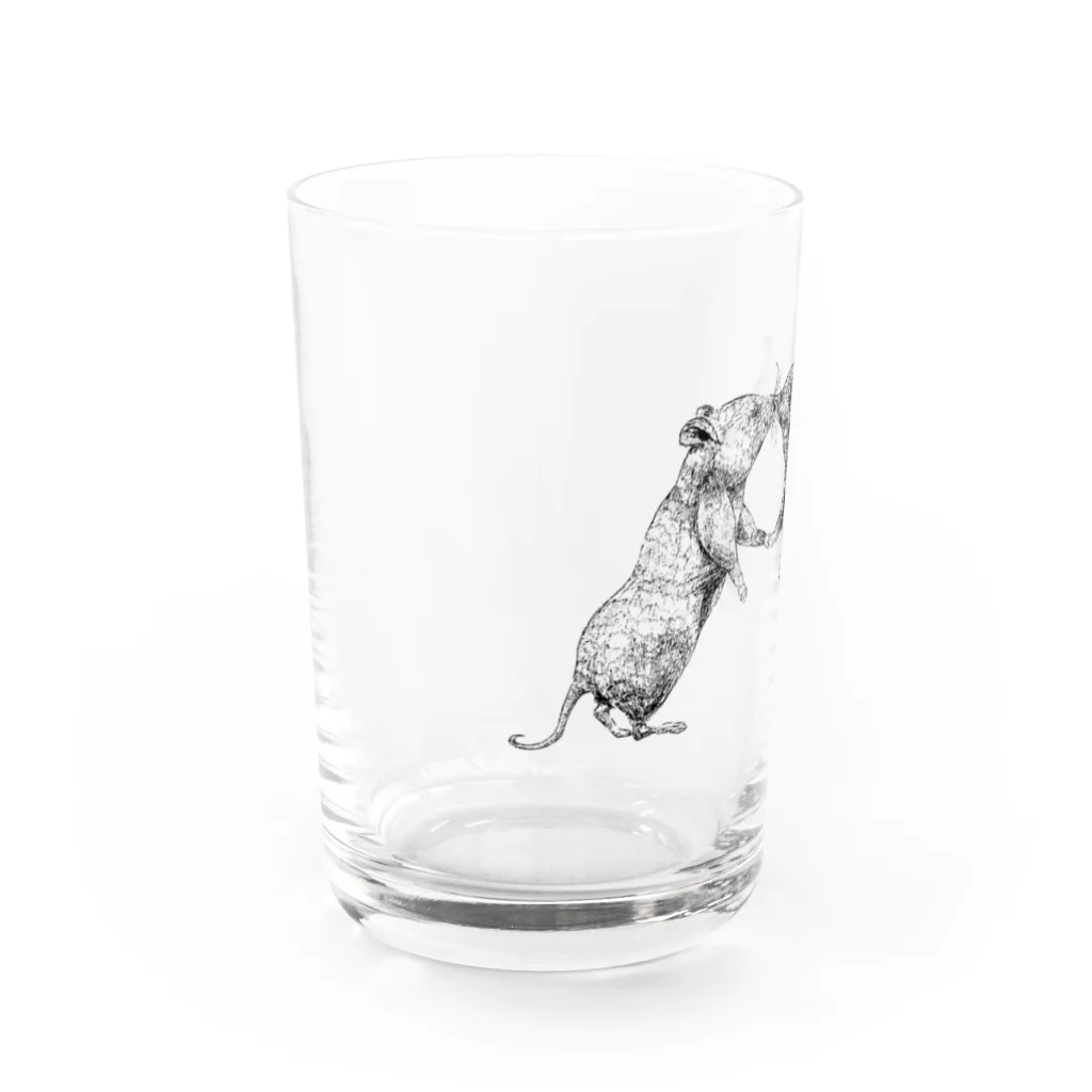 カサオカマイコの『野生と家』 Water Glass :left