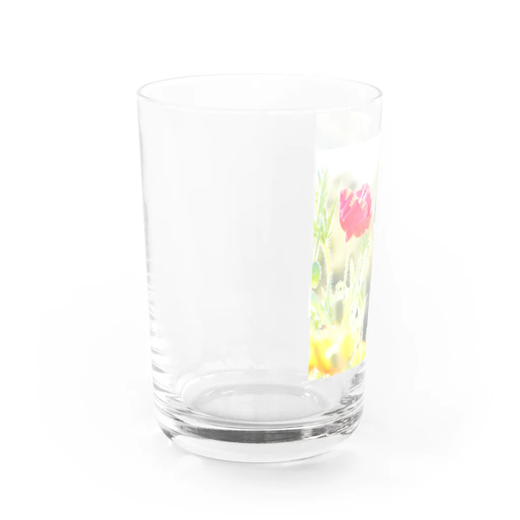 cloudlandのきらきらポピー Water Glass :left