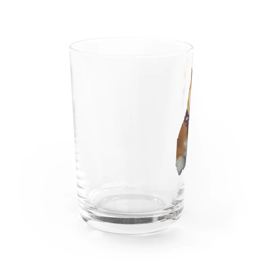 山内さんの子供たちのムサシ Water Glass :left