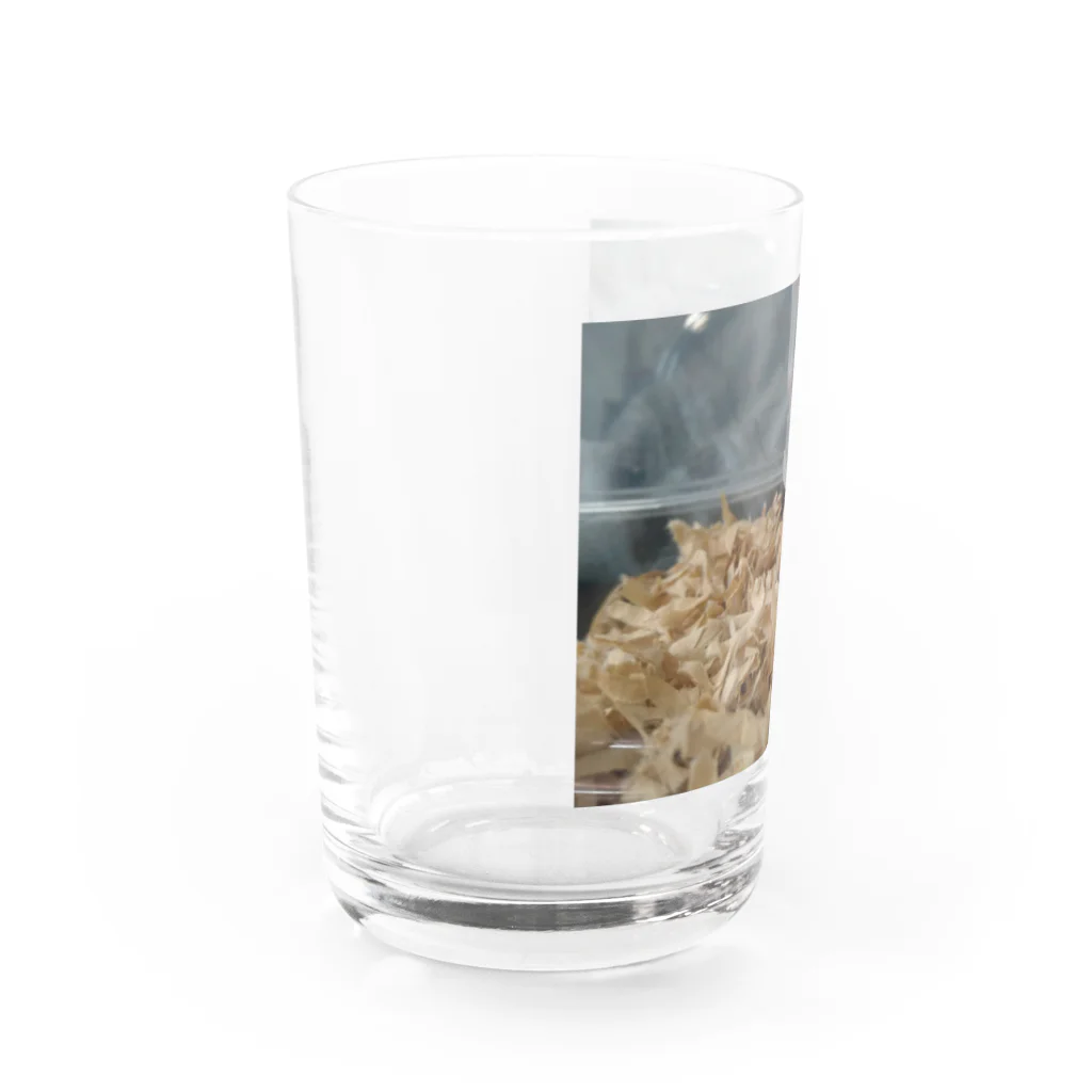 アヤナシトリィSHOPのおつきみ日誌 余になんか用？編 Water Glass :left