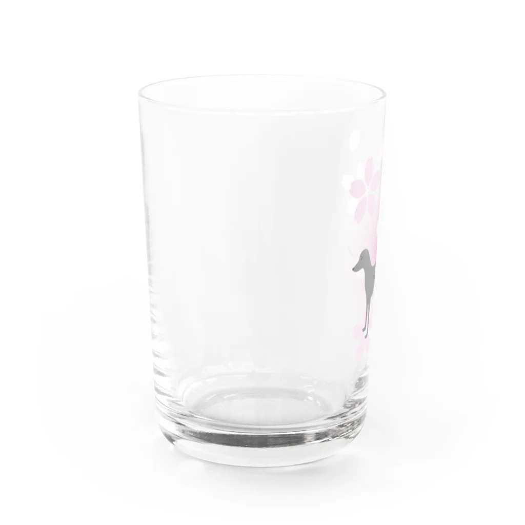 ふうふうたかのイタリアン・グレーハウンド Water Glass :left