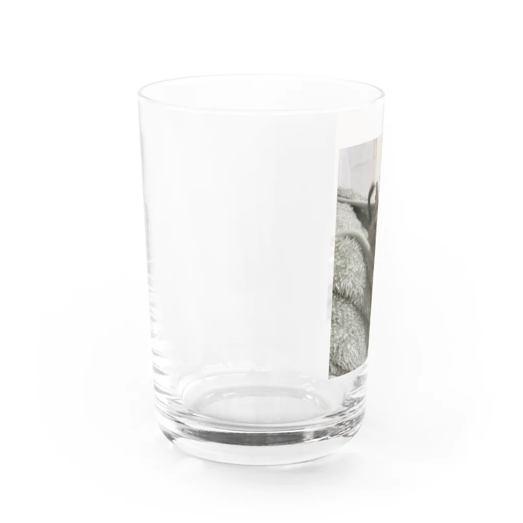 もぐレッダのフードインぐり Water Glass :left