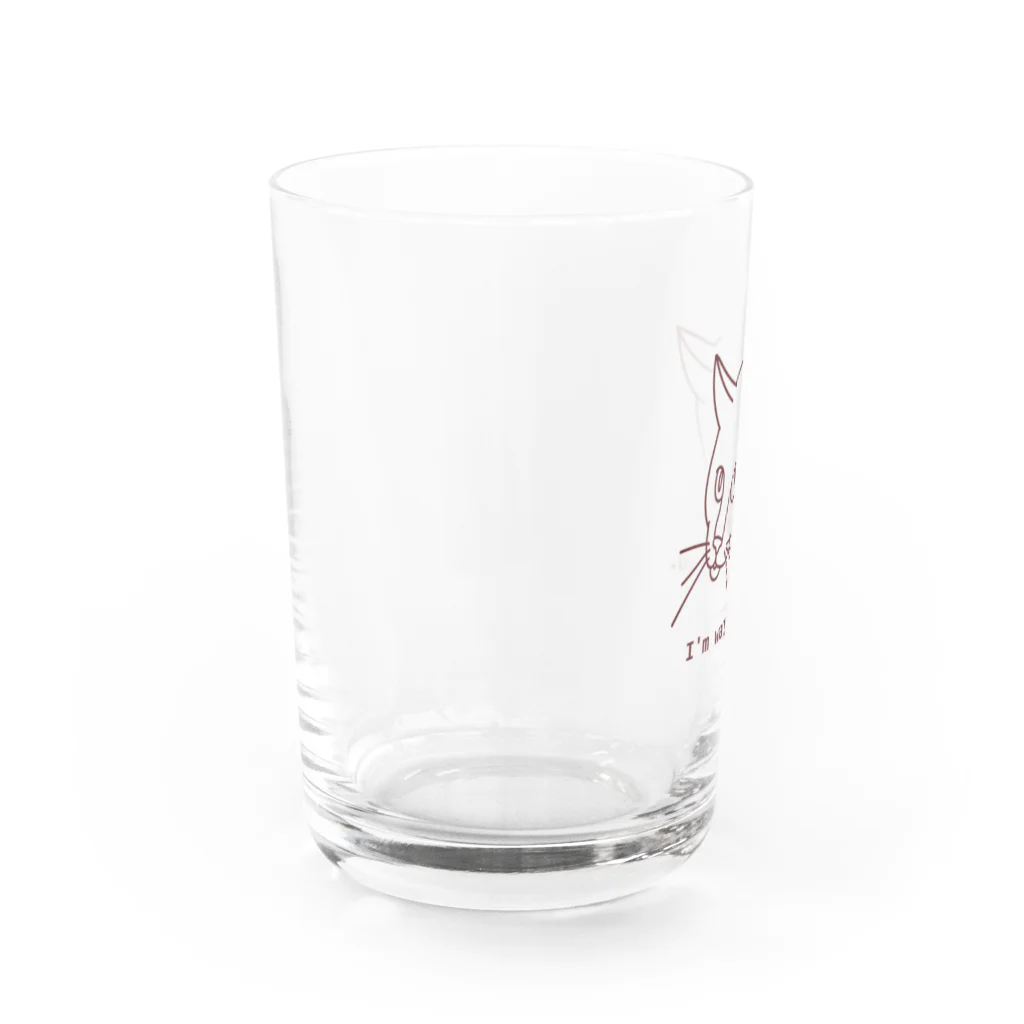 CHOTTOPOINTの警戒中の猫 Water Glass :left