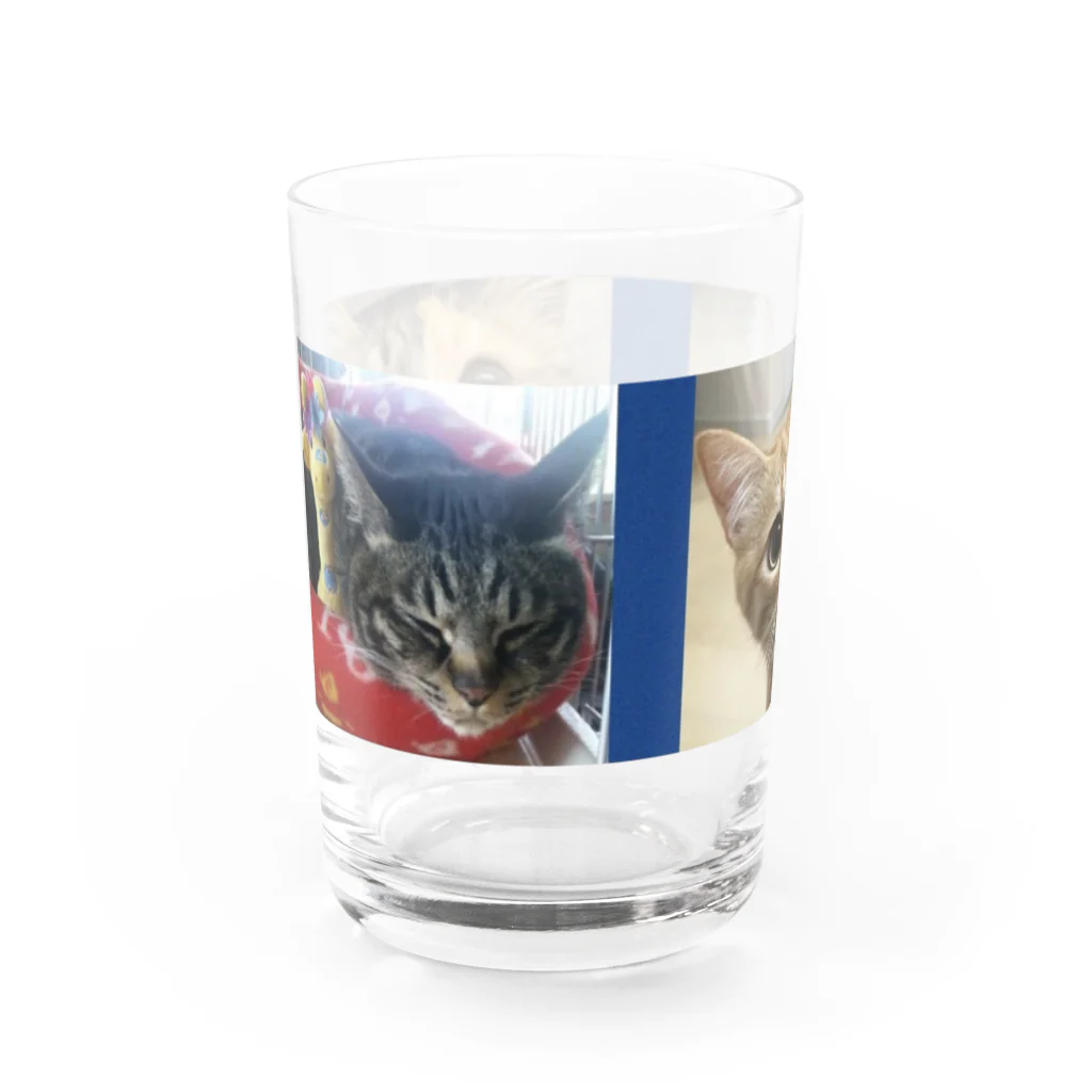 きなこ あずきショップのきなこ ぎん あずき Water Glass :left