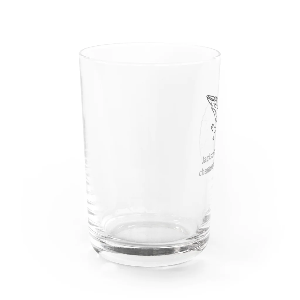 ケイのカメレオン Water Glass :left