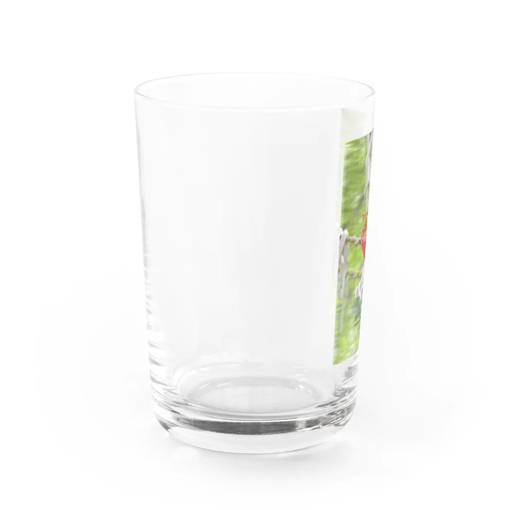 にんにく小豆製作場  のねこさんの神だのみ（お願い）　ns-4 Water Glass :left