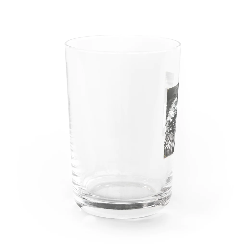 松木　昭洋の天空を司る鳥の王者【鷲】 Water Glass :left