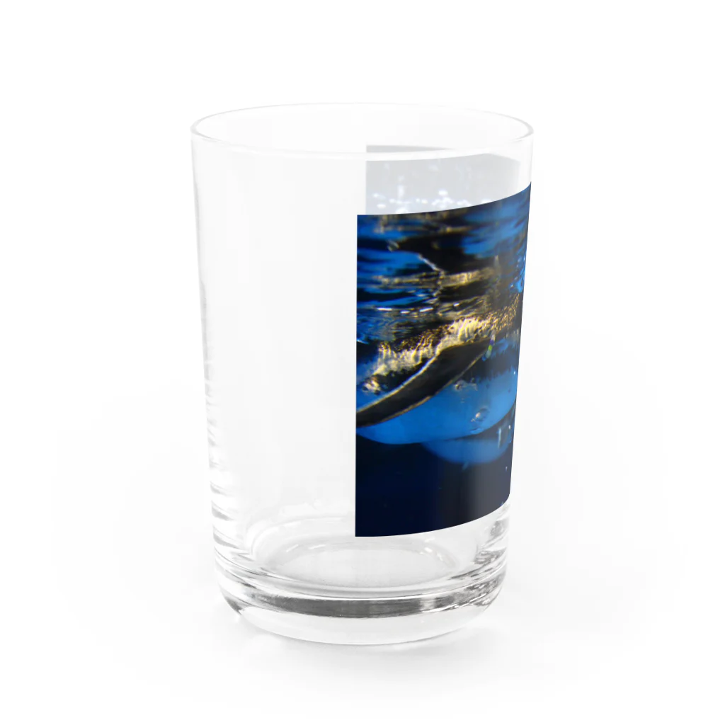 No.8のペンギン Water Glass :left