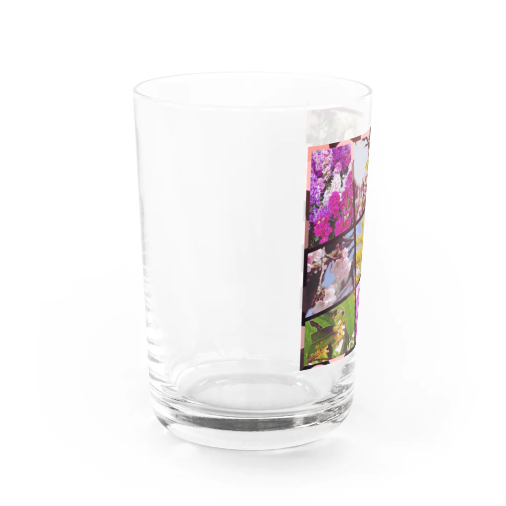 HopeのFlower Water Glass :left