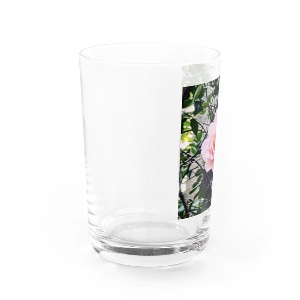 お花の双葉のカメリア Water Glass :left