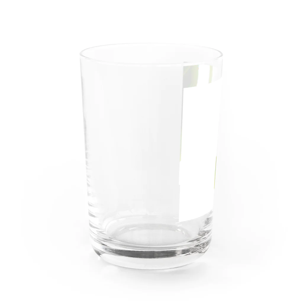 ﾆｼｷｵﾘ🍋Collectionの熱海レモン🍋0 Water Glass :left