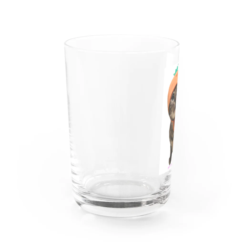 ヒョウ柄にゃんこアルバの被り物王子アルバ(にんじん) Water Glass :left